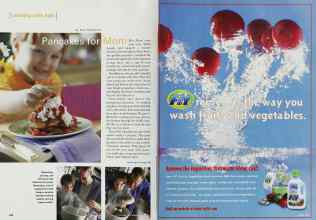 Better Homes & Gardens May 2000 Magazine Article: Page 238