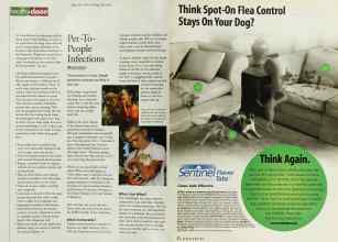 Better Homes & Gardens May 2000 Magazine Article: Page 256