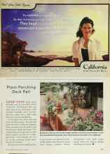 Better Homes & Gardens June 2000 Magazine Article: Plant-Perching Deck Rail