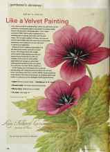 Better Homes & Gardens June 2000 Magazine Article: Like a Velvet Painting