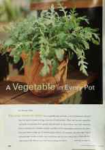 Better Homes & Gardens June 2000 Magazine Article: A Vegetable in Every Pot