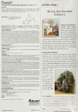 Better Homes & Gardens June 2000 Magazine Article: Bring the Garden Indoors