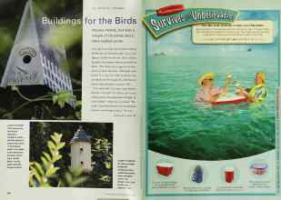 Better Homes & Gardens June 2000 Magazine Article: Page 100