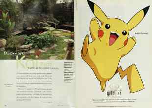 Better Homes & Gardens June 2000 Magazine Article: Page 106