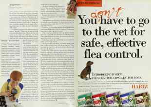 Better Homes & Gardens June 2000 Magazine Article: Page 138