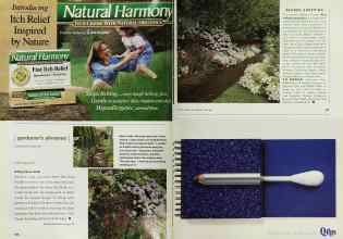 Better Homes & Gardens June 2000 Magazine Article: Page 146