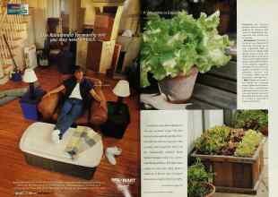 Better Homes & Gardens June 2000 Magazine Article: Page 150
