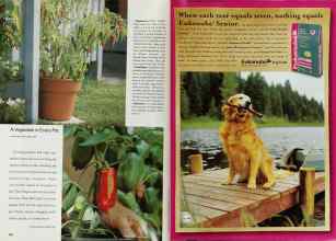 Better Homes & Gardens June 2000 Magazine Article: Page 156