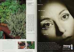 Better Homes & Gardens June 2000 Magazine Article: Page 158