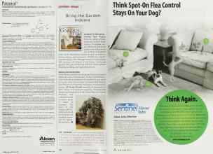 Better Homes & Gardens June 2000 Magazine Article: Page 160