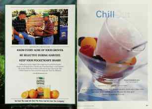 Better Homes & Gardens June 2000 Magazine Article: Page 202