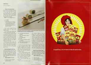 Better Homes & Gardens June 2000 Magazine Article: Page 214