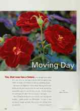 Better Homes & Gardens August 2000 Magazine Article: Moving Day
