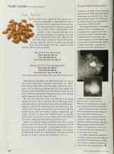 Better Homes & Gardens August 2000 Magazine Article: Aw, Nuts!