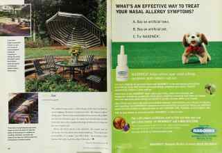 Better Homes & Gardens August 2000 Magazine Article: Page 50