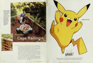 Better Homes & Gardens August 2000 Magazine Article: Page 54