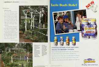Better Homes & Gardens August 2000 Magazine Article: Page 92