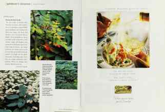 Better Homes & Gardens August 2000 Magazine Article: Page 94