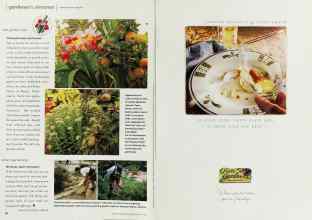 Better Homes & Gardens August 2000 Magazine Article: Page 96