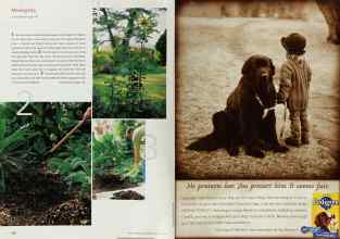 Better Homes & Gardens August 2000 Magazine Article: Page 110