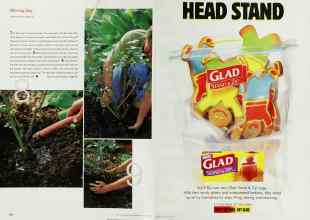 Better Homes & Gardens August 2000 Magazine Article: Page 114