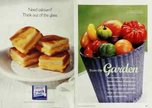 Better Homes & Gardens August 2000 Magazine Article: Page 150