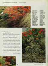 Better Homes & Gardens September 2000 Magazine Article: Layer upon layer of fall color