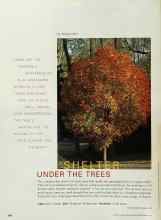 Better Homes & Gardens September 2000 Magazine Article: SHELTER UNDER THE TREES