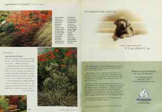 Better Homes & Gardens September 2000 Magazine Article: Page 134