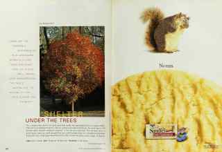 Better Homes & Gardens September 2000 Magazine Article: Page 140