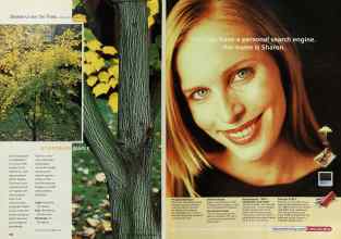 Better Homes & Gardens September 2000 Magazine Article: Page 142