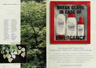 Better Homes & Gardens September 2000 Magazine Article: Page 144