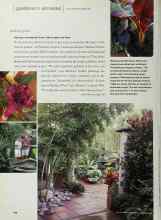 Better Homes & Gardens October 2000 Magazine Article: Having a wonderful time--the tropics are here