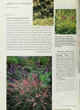 Better Homes & Gardens October 2000 Magazine Article: Green and gold grow the grasses, oh