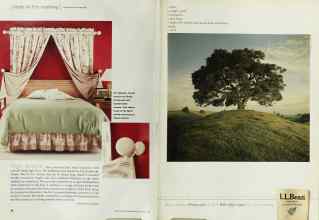 Better Homes & Gardens October 2000 Magazine Article: Page 28