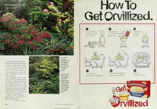 Better Homes & Gardens October 2000 Magazine Article: Page 140