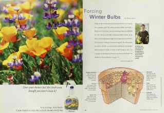 Better Homes & Gardens October 2000 Magazine Article: Page 146