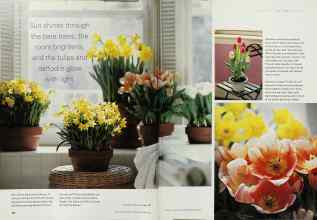 Better Homes & Gardens October 2000 Magazine Article: Page 154