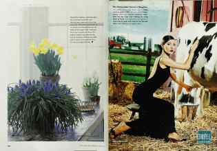 Better Homes & Gardens October 2000 Magazine Article: Page 160