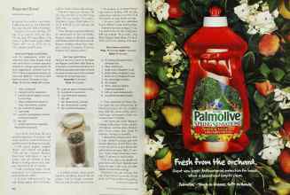 Better Homes & Gardens October 2000 Magazine Article: Page 216