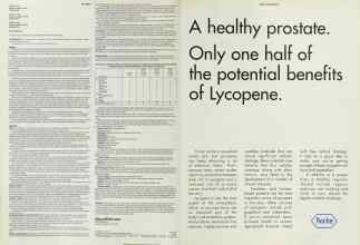 Better Homes & Gardens October 2000 Magazine Article: Page 232