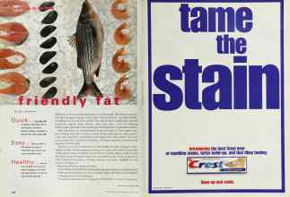 Better Homes & Gardens October 2000 Magazine Article: Page 238