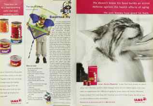 Better Homes & Gardens October 2000 Magazine Article: Page 264