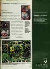 Better Homes & Gardens November 2000 Magazine Article: Flowers in the round, Part I