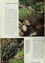 Better Homes & Gardens November 2000 Magazine Article: READER SHOPPING