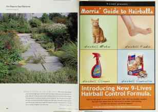 Better Homes & Gardens November 2000 Magazine Article: Page 120