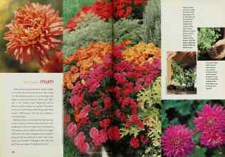 Better Homes & Gardens November 2000 Magazine Article: The queen mum