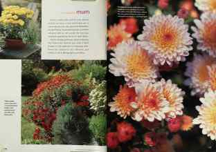 Better Homes & Gardens November 2000 Magazine Article: Page 140