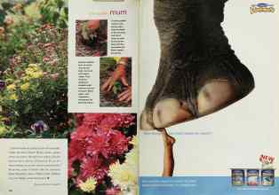 Better Homes & Gardens November 2000 Magazine Article: Page 142