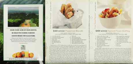 Better Homes & Gardens November 2000 Magazine Article: Page 246